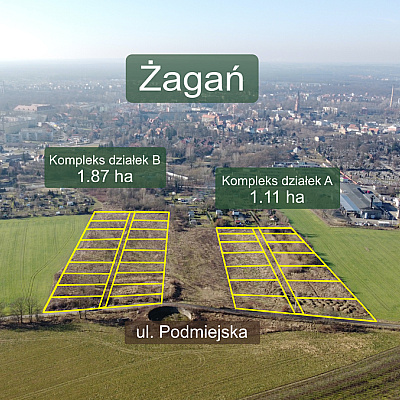 DZIAŁKA na SPRZEDAŻ