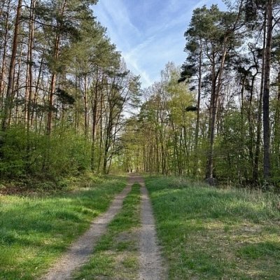SPRZEDAŻ na DZIAŁKA w Szczecin